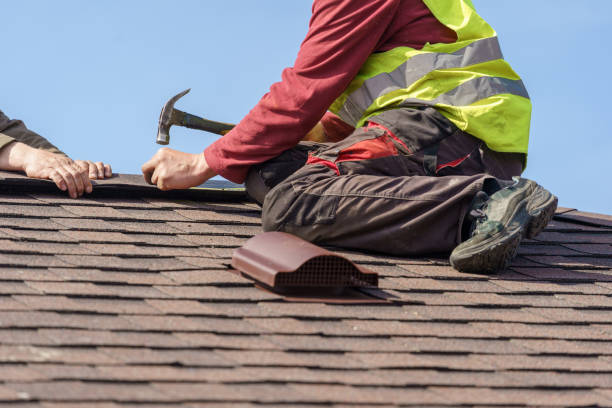 Best Residential Roofing Contractor  in Dryden, MI