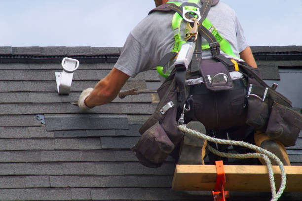 Best Roof Leak Repair  in Dryden, MI