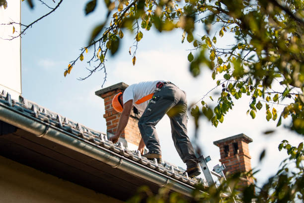 Best Gutter Installation and Roofing  in Dryden, MI