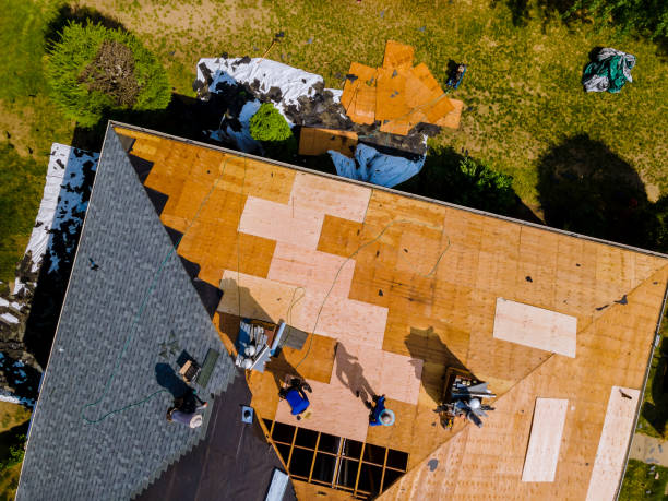 Best Roof Maintenance Services  in Dryden, MI