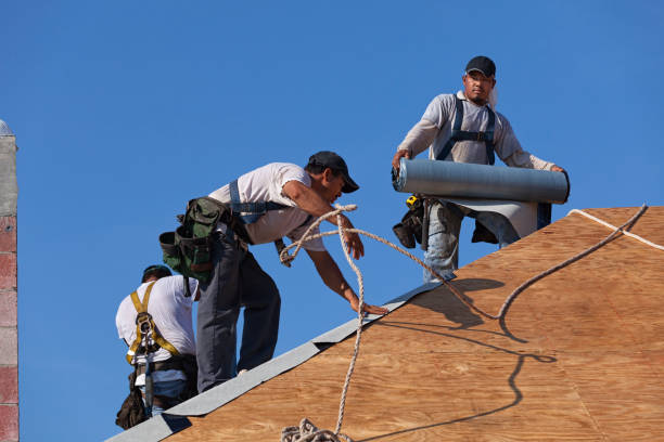 Best Emergency Roof Repair  in Dryden, MI