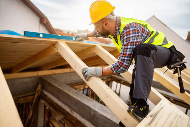 Best Roof Repair Services  in Dryden, MI