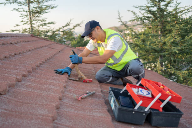 Best Shingle Roofing Installation  in Dryden, MI